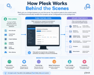 Plesk | Web Hosting