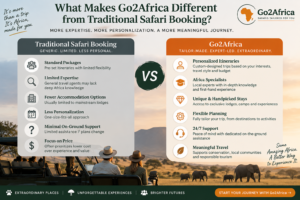 Go2Africa (US)
